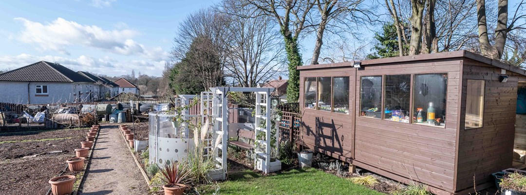 National allotments week Image