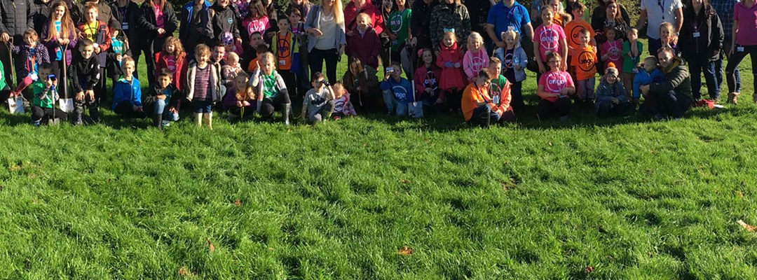 Tree planting with Ongo Image