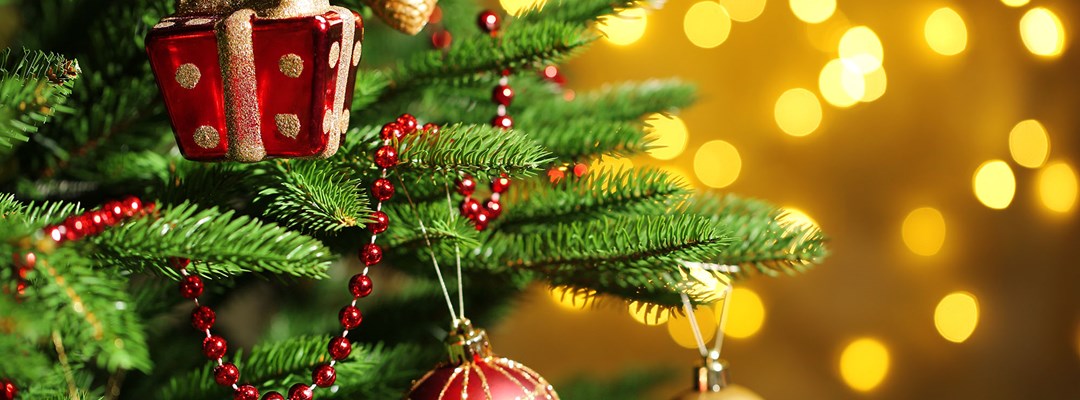 Ongo HQ Christmas opening hours Image