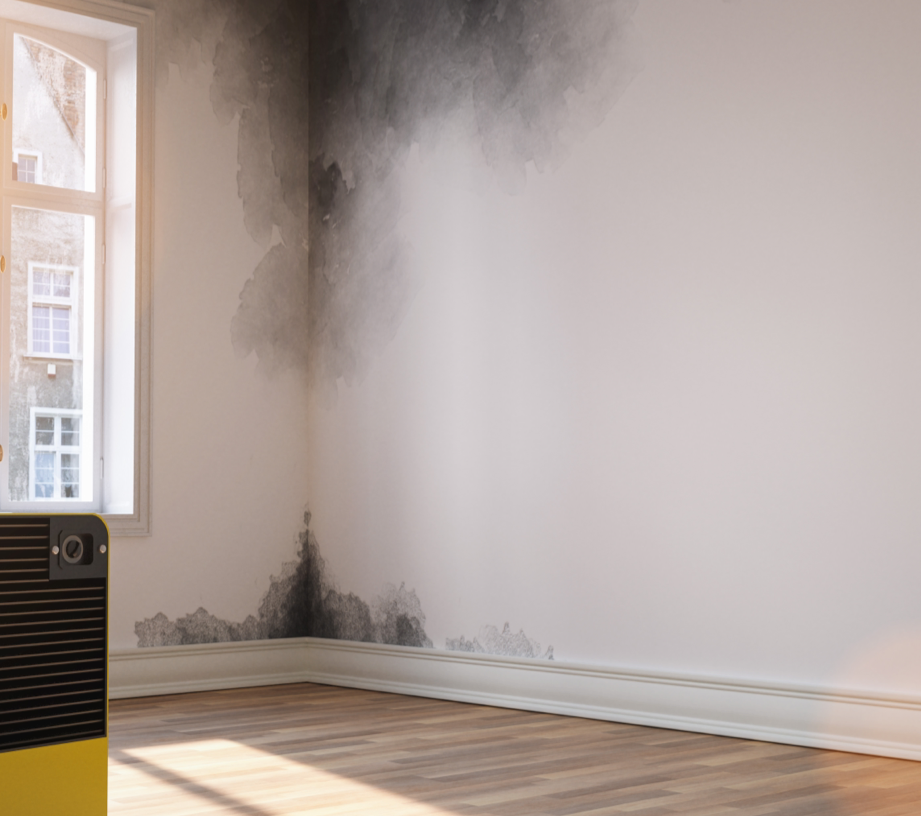 A room showing black mould. There is a yellow dehumidifier shown.