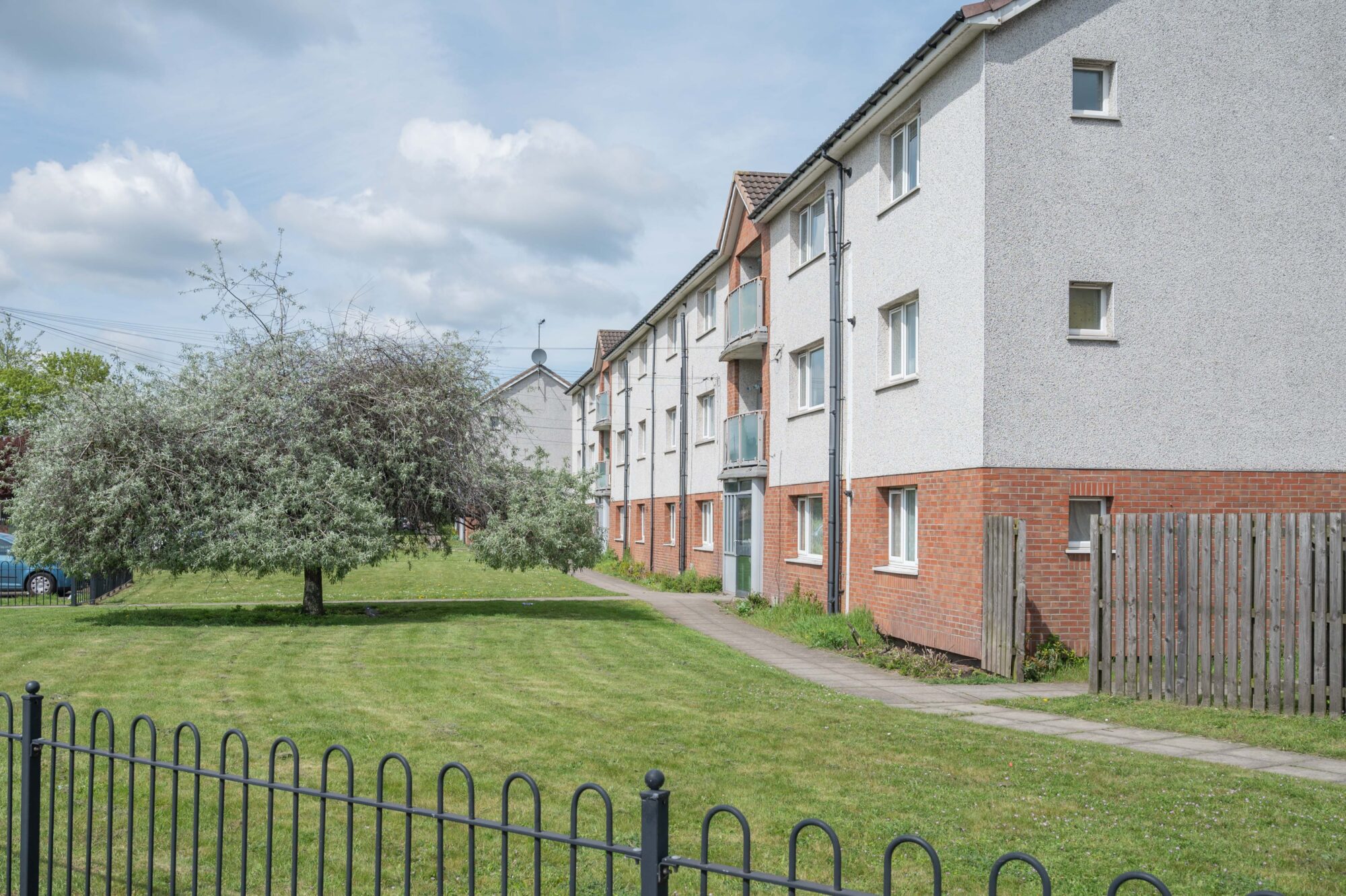 OngoPhotograph by Richard Walker/ImageNorth