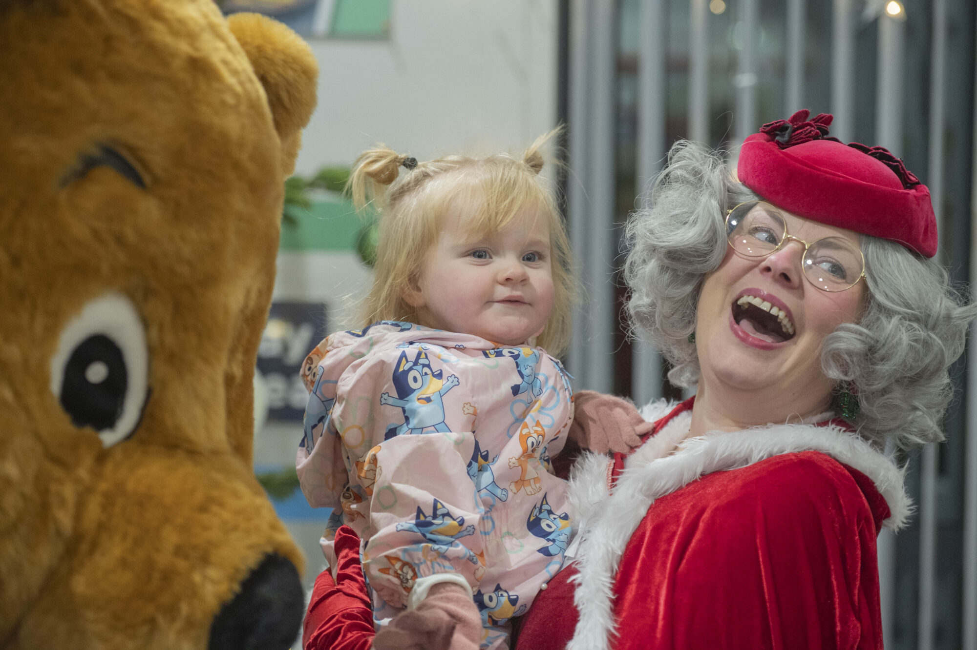 OngoPhotograph by Richard Walker/ImageNorth