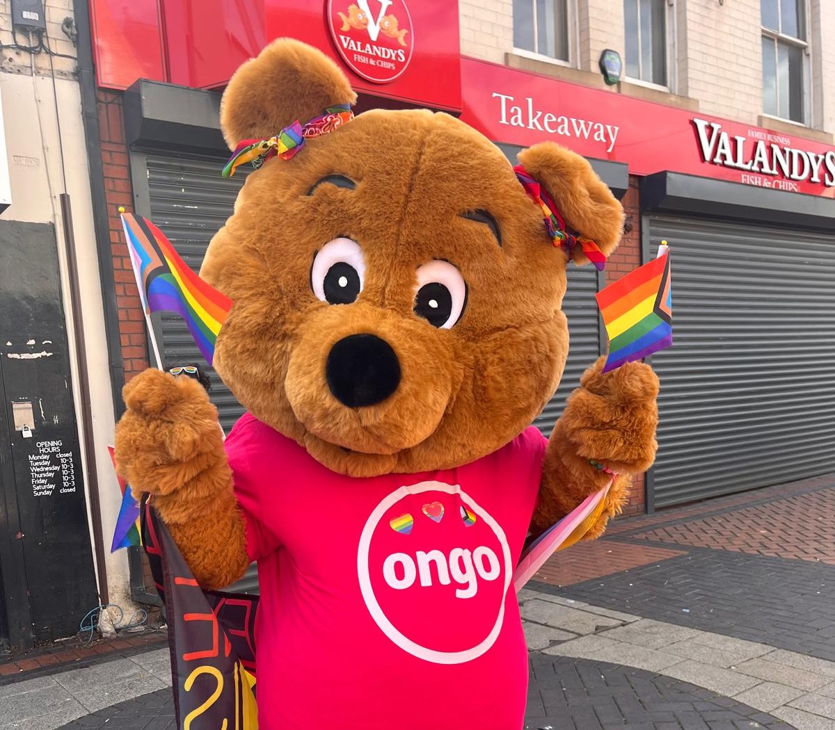 pride bear